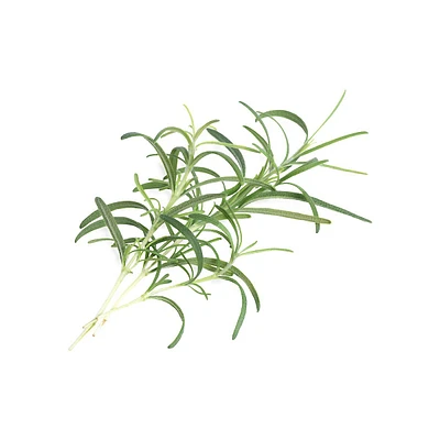 Lingot Rosemary Seeds