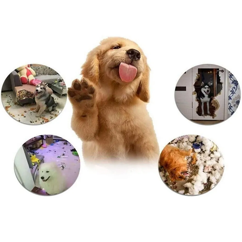 ALL FOR PAWS Dog Chew Toy,Dumbell Puppy Teething Chew Toys