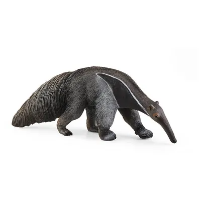 Wild Life: Anteater