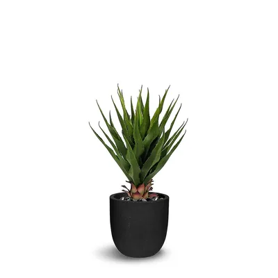 Faux Botanical Green Agave 28 In. Height