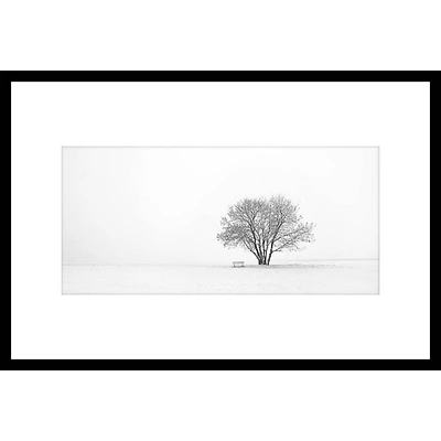Winter Tree - Photography Under Glass