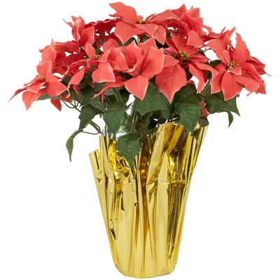 28" Dark Pink Artificial Christmas Poinsettia With Gold Wrapped Base