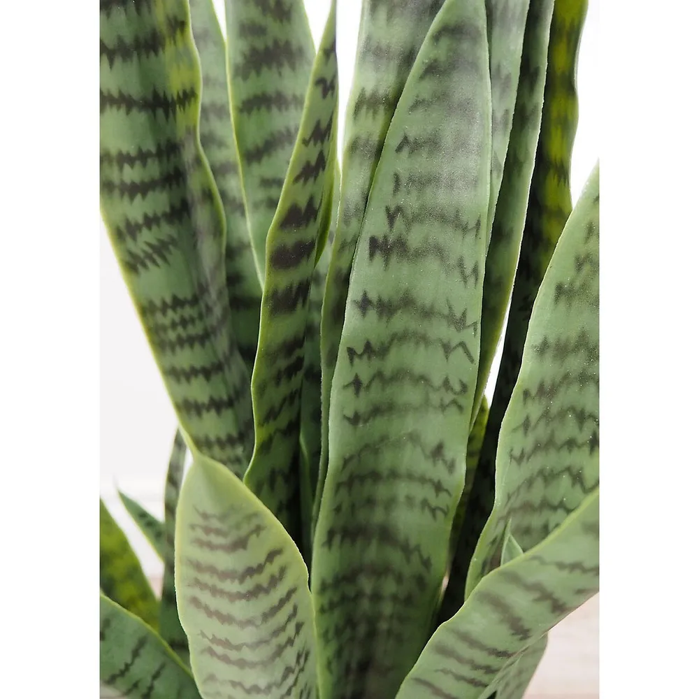 Faux Botanical Green Sansevieria In. Height