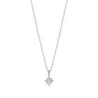 14k White Gold Cluster Diamond Pendant With Chain