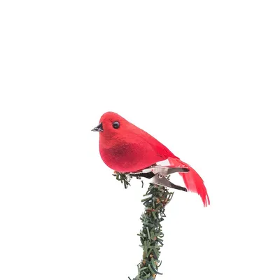 Clip-on Summer Tanager Ornament (pack Of 12)