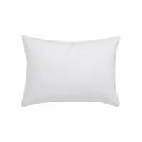 Mulberry Silk Pillow