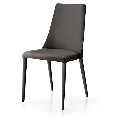 Aloe Dining Chair