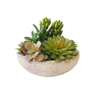 Artificial Mixed Succulent Plants With Planter