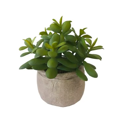 Artificial Jade Plant With Planter