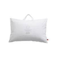 All Sleep Type Down & Feather Pillow