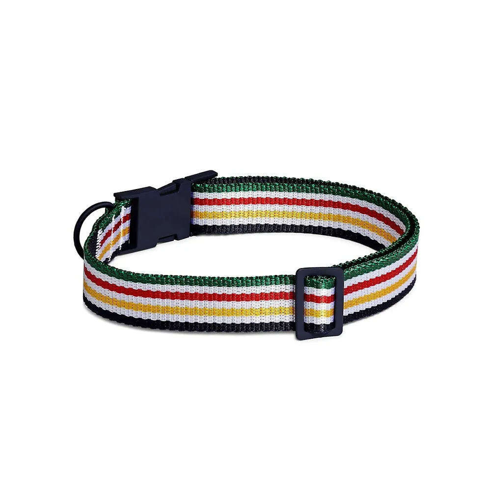 Multistripe Dog Collar