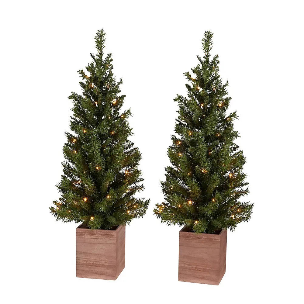 Set Of 2 4ft Pre-Lit Forest Pine Porch Trees With 50 Battery-Operated LED Lights And 138 Mixed Tips