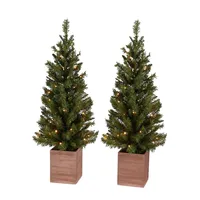 Set Of 2 4ft Pre-Lit Forest Pine Porch Trees With 50 Battery-Operated LED Lights And 138 Mixed Tips