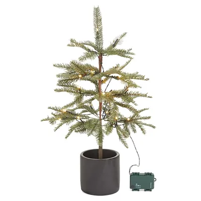 3ft Pre-Lit Grand Fir Porch Tree With 35 Battery-Operated LED Lights And 79 Tips