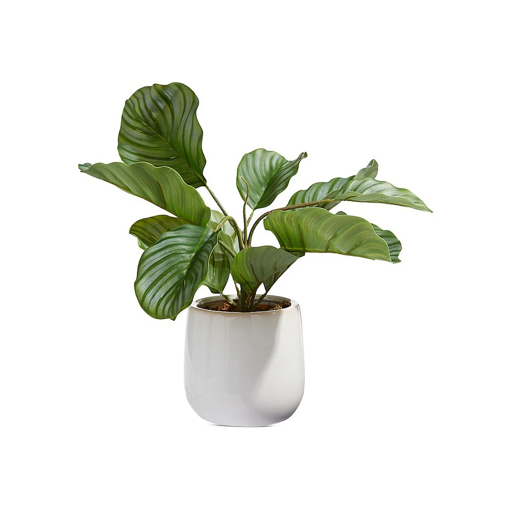 Calathea Artificial Plant