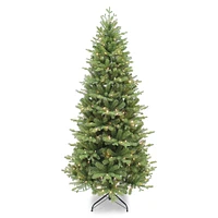 Coastal Douglas Pre-Lit Tree with Multi Function Colour Changing LED Lights & Mixed Tips