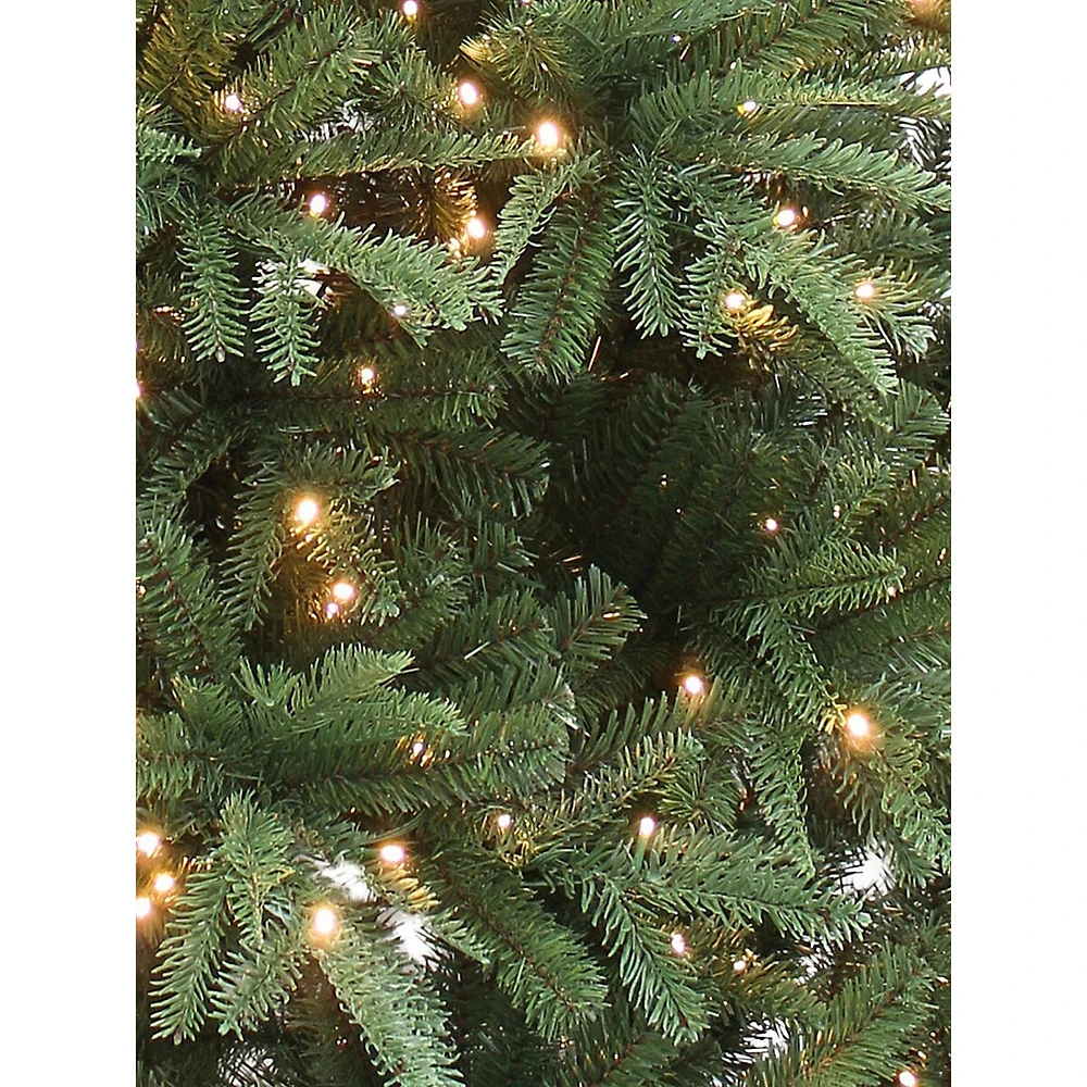 Prelit Deluxe Nordmann Fir Tree with LED Lights & Mixed Tips