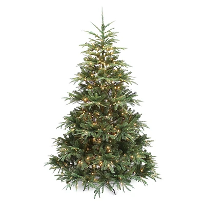 Sapin de Nordmann luxe illuminé avec lumières à DEL et rameaux mixtes