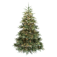 Prelit Deluxe Nordmann Fir Tree with LED Lights & Mixed Tips