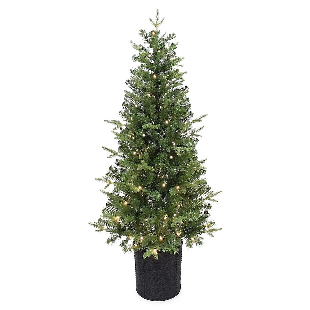 Greenery 5ft Pre-Lit Grand Fir Slim Porch Tree With 100 Warm White Replaceable Concave LED Lights & 524 Mixed Tips