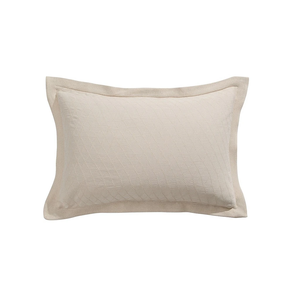 Alvaro Pillow Sham