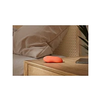 Touch X Powerful Mini Massager