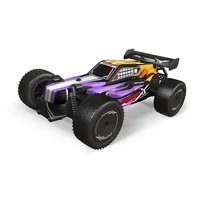 2.4ghz Off-road Racing Car Assortment (blue/purple Mixed)