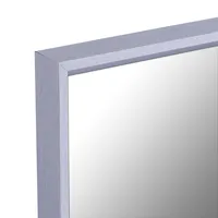 49.5x13.5 Inch Door And Wall Dressing Full Length Mirror