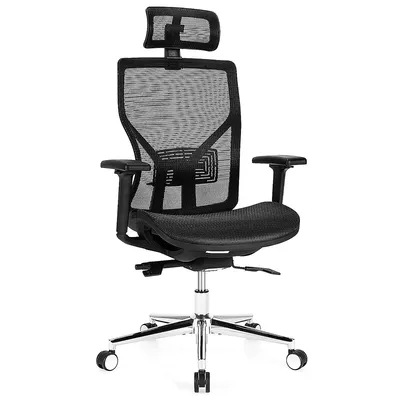 Ergonomic Office Chair High-back Mesh Chair W/adjustable Lumbar Support