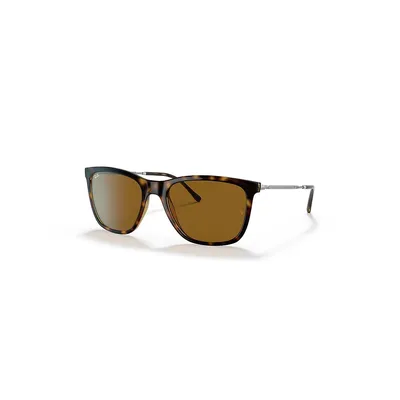 Rb4344 Sunglasses