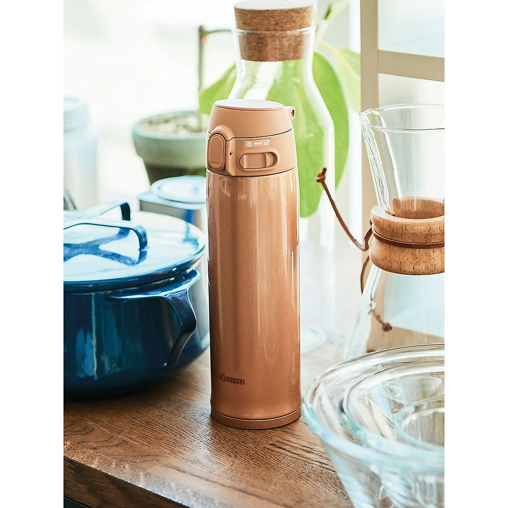 Vacuum Insulated Bottle