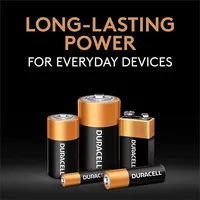 Coppertop D Alkaline Batteries (pack Of