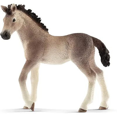 Horse Club: Andalusian Foal