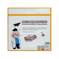 Metal Wire Puzzle Twister Puzzle Set Of 4