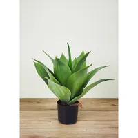 Faux Botanical Agave In Green 16 In. Height