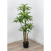 Faux Botanical Dracaena In Green 51 In. Height