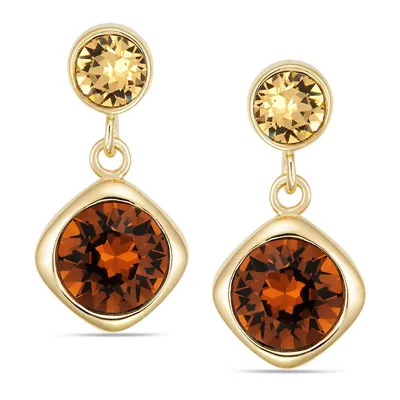 Sterling Silver With Gold Plating Drop Earring