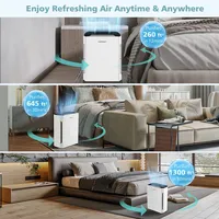 H13 True Hepa Air Purifier Portable Air Cleaner With Adjustable Wind Speeds
