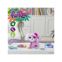 Glamalots Interactive Pet Toy