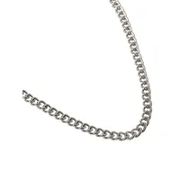 Kid's Silvertone Chain Necklace