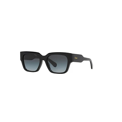 Ch0190s Sunglasses