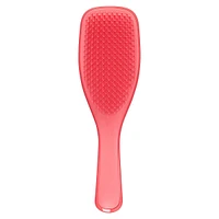 The Ultimate Detangler Brush