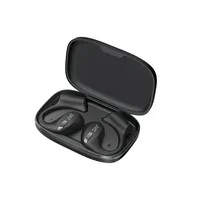 Wireless In-ear Headphones, Bluetooth 5.3 With Microphone And Charging Case