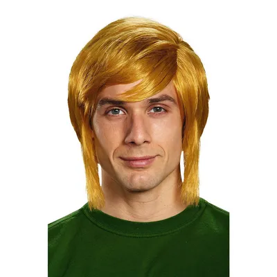 Zelda Link Adult Wig