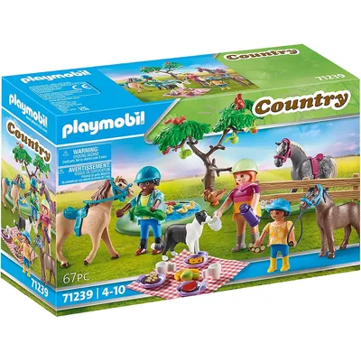 Country: Picnic Adventure With Horses