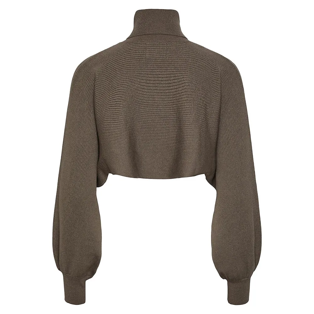 Sue Midriff Turtleneck Sweater