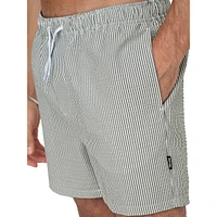 Ted Seersucker Striped Swim Shorts