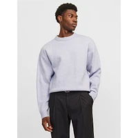 Rollie Relaxed Crewneck Sweater