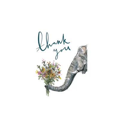 Thank You: Elephant