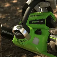 24V 10" Chainsaw (Tool Only)